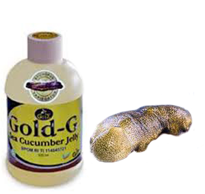 jelly-gamat-gold-sea-cucumber